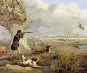Duck Shooting